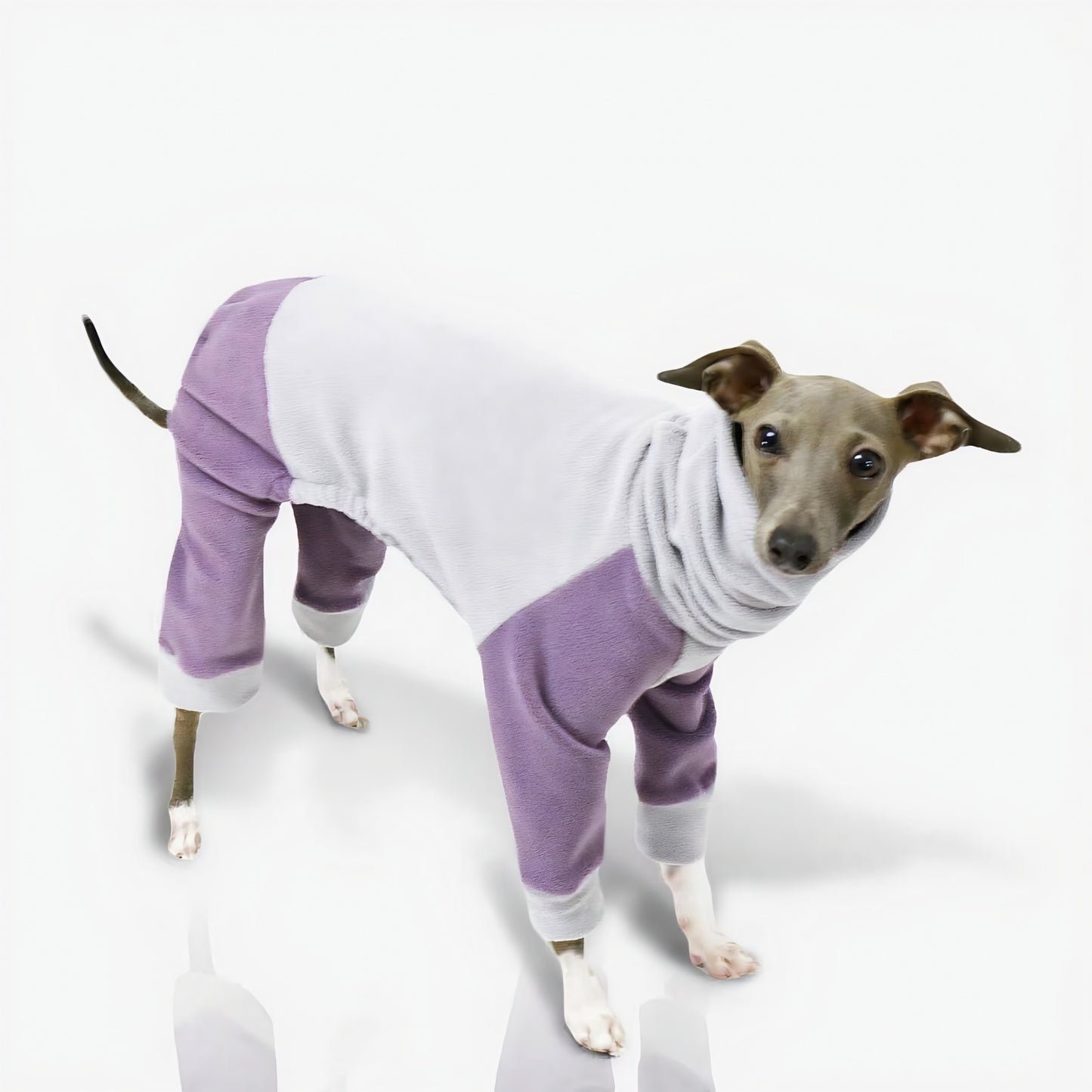 Winter Dog Sweater - Four Legs & Turtle Neck, Striped Color Block, Stretchy Warm Coat for Whippets, Greyhounds, Bedlingtons