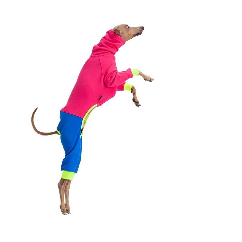 Pitaya Dog Sweater  - Color Block Four-Leg Winter Wear for Extra Warmth, Tailored for Sighthound
