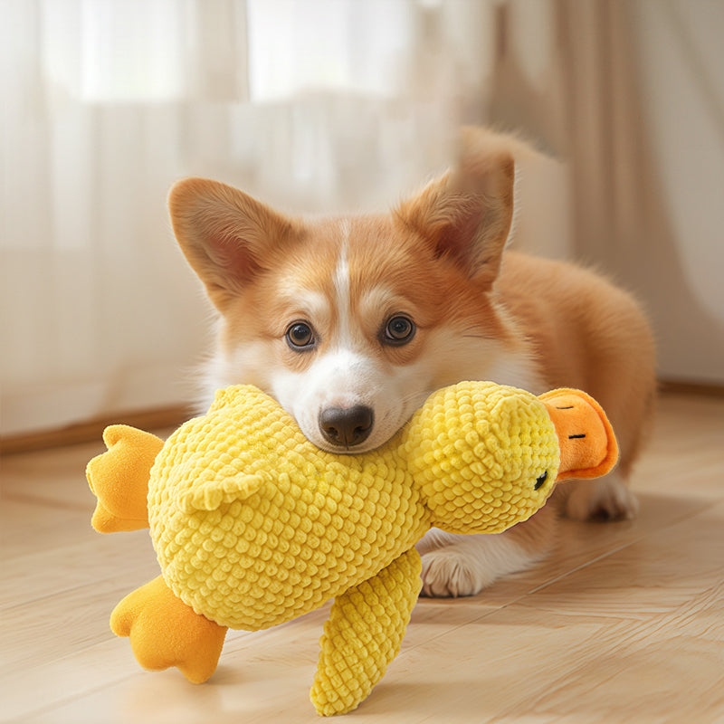 Duck-Shaped Squeaky Dog Toy