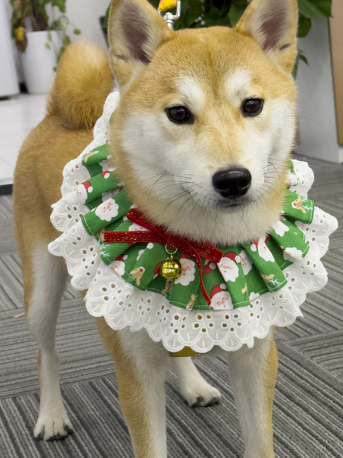 Cat Dog Collar Bandana Bowknot Christmas Bell
