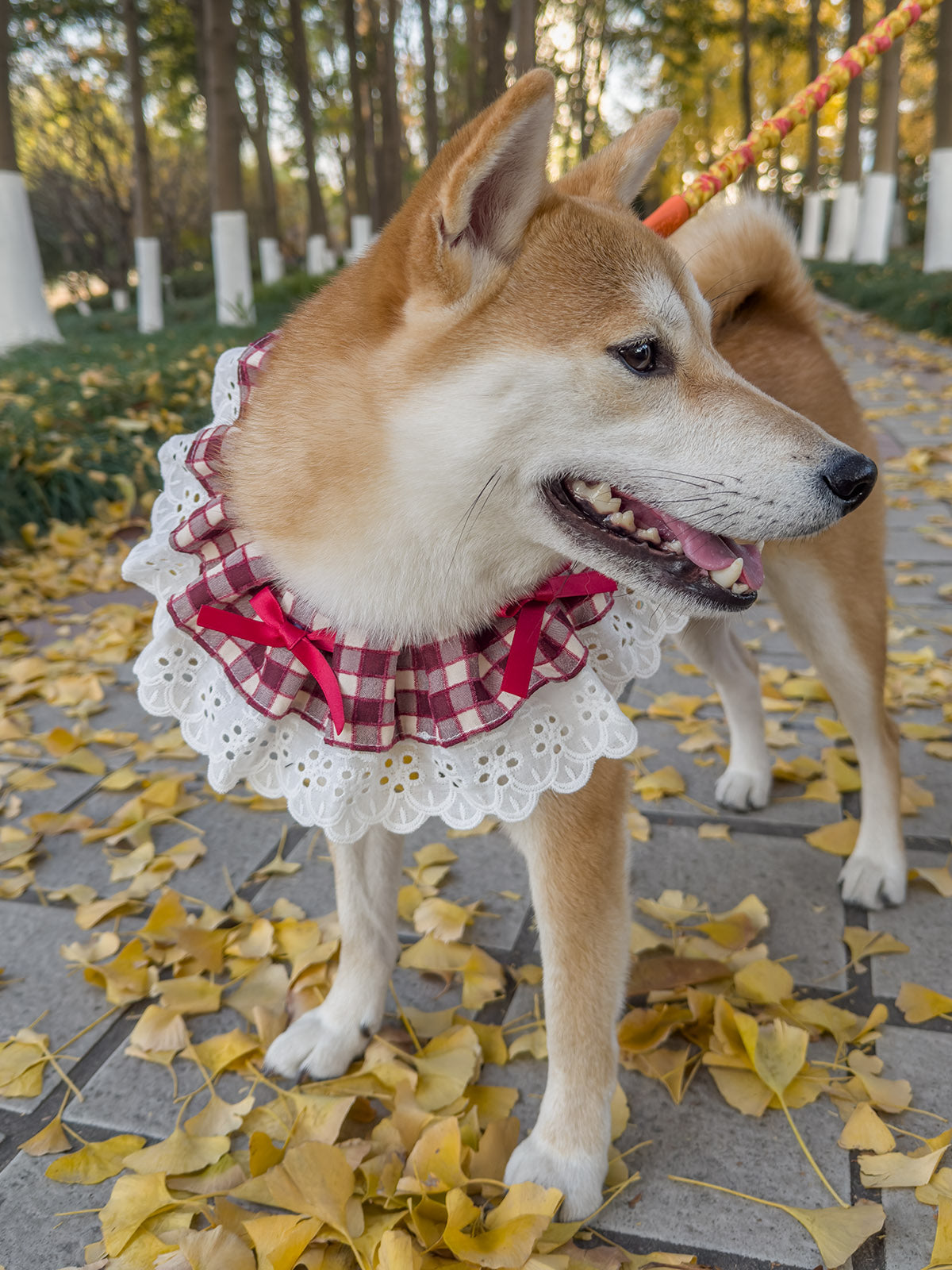 Cat Dog Collar Bandana Bowknot Plaid Spliced Lace-up