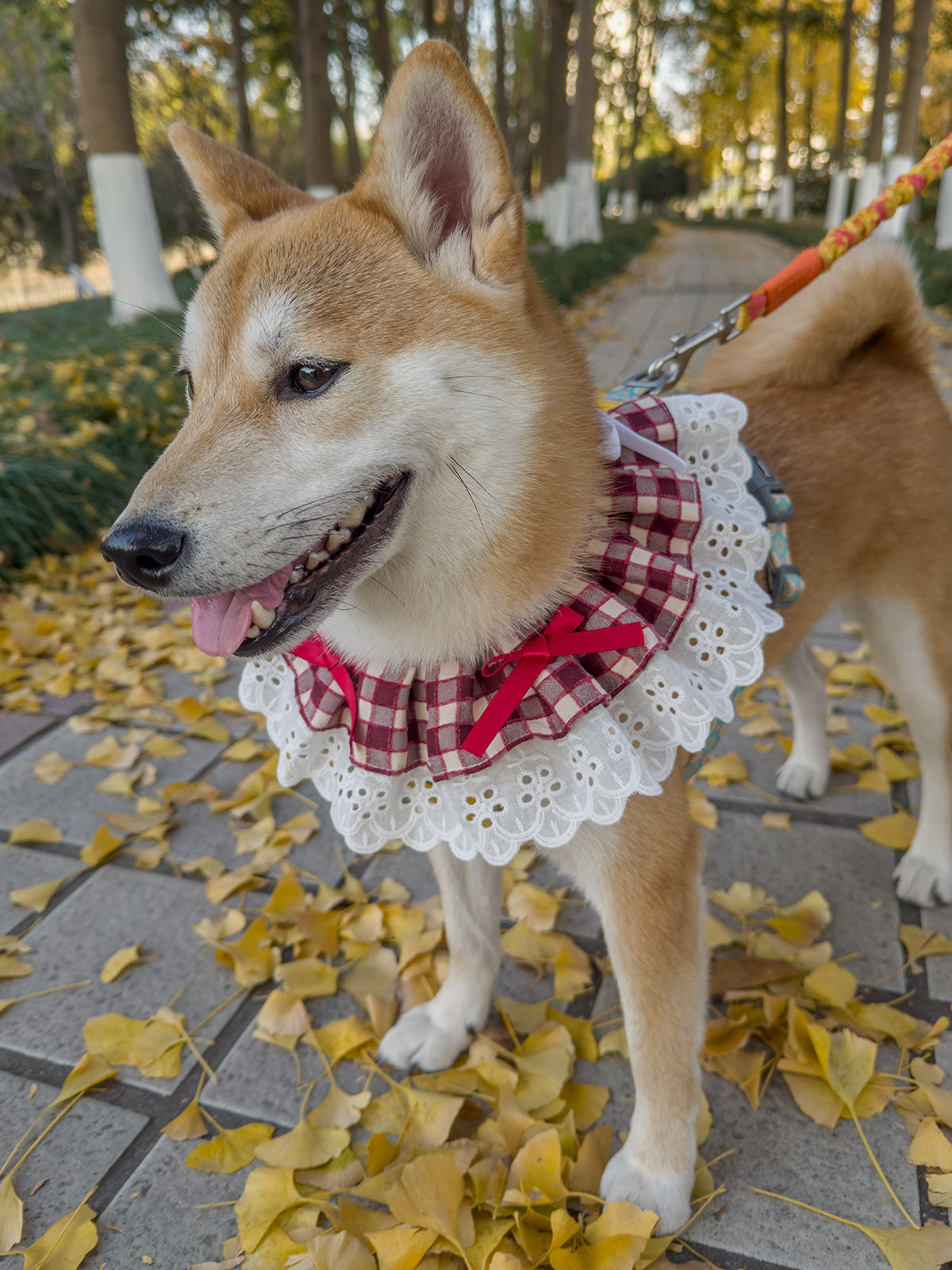 Cat Dog Collar Bandana Bowknot Plaid Spliced Lace-up
