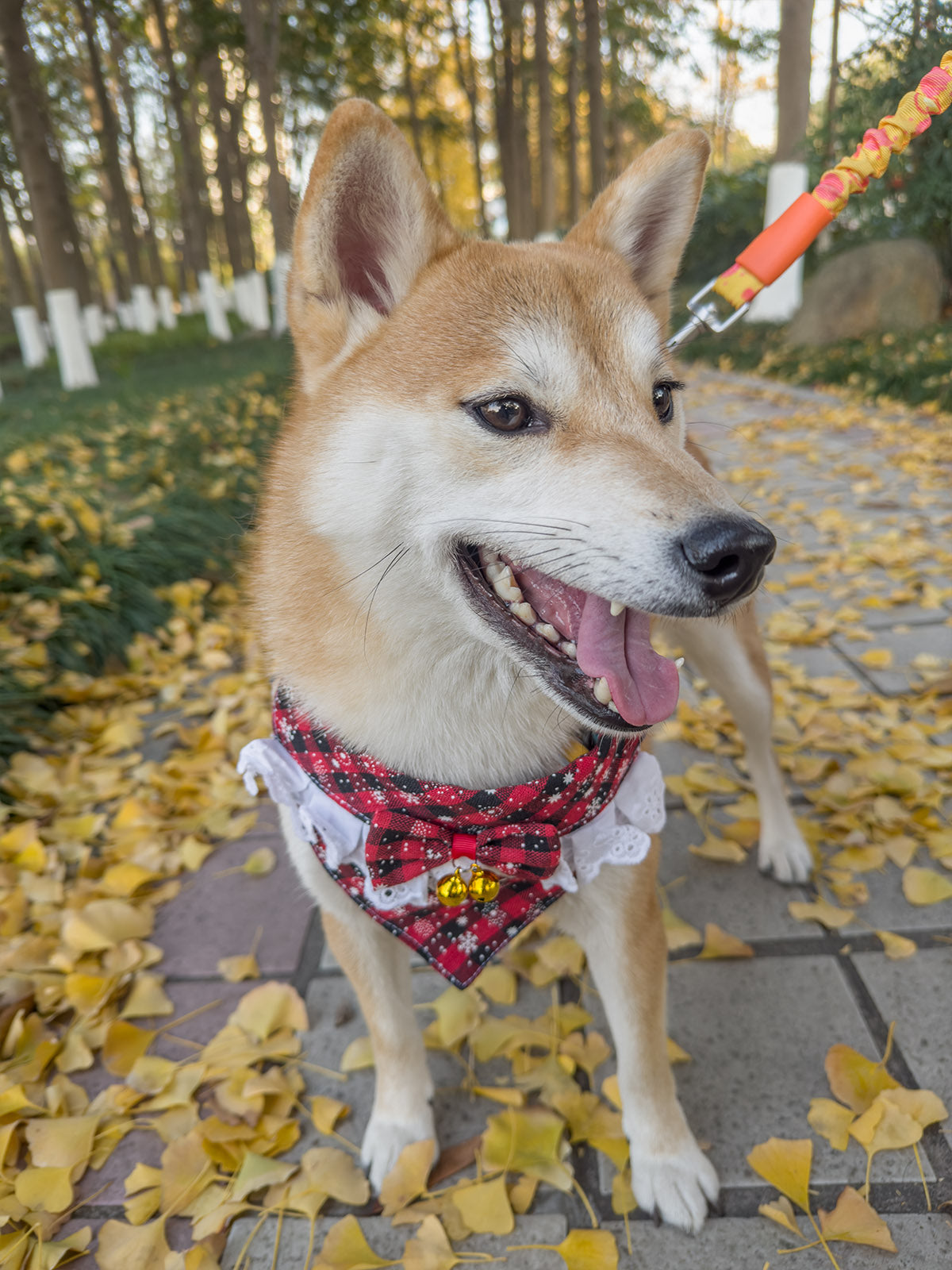 Cat Dog Collar Bandana Bowknot Plaid Christmas Spliced