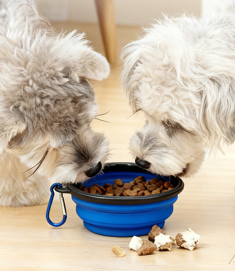 Portable Pet Bowl - Collapsible Silicone