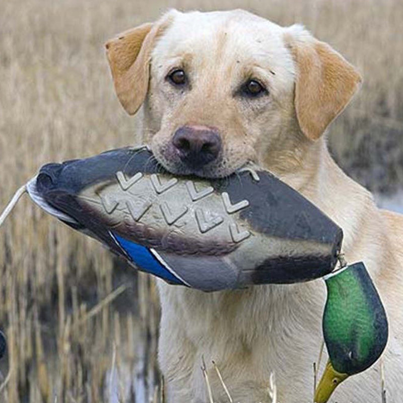 Duck-Shaped EVA Fetch Dog Toy