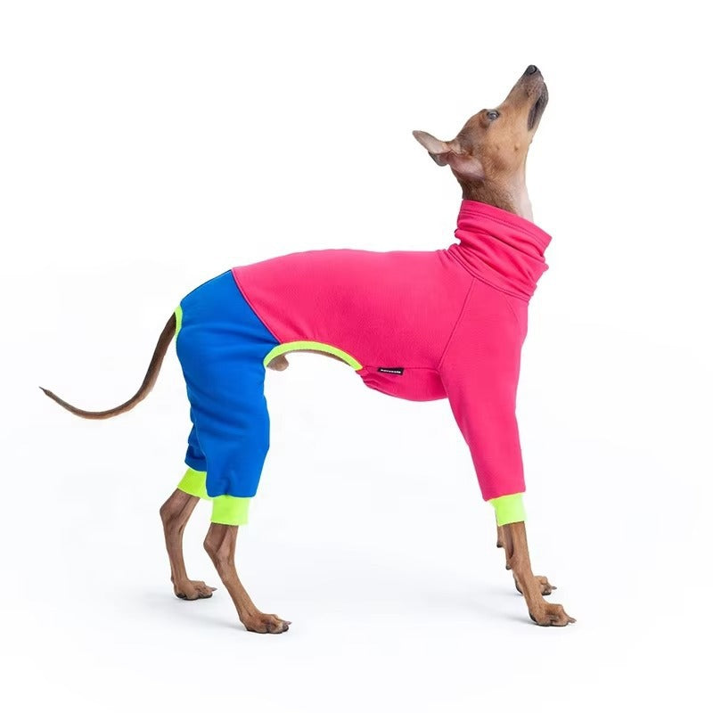 Pitaya Dog Sweater  - Color Block Four-Leg Winter Wear for Extra Warmth, Tailored for Sighthound