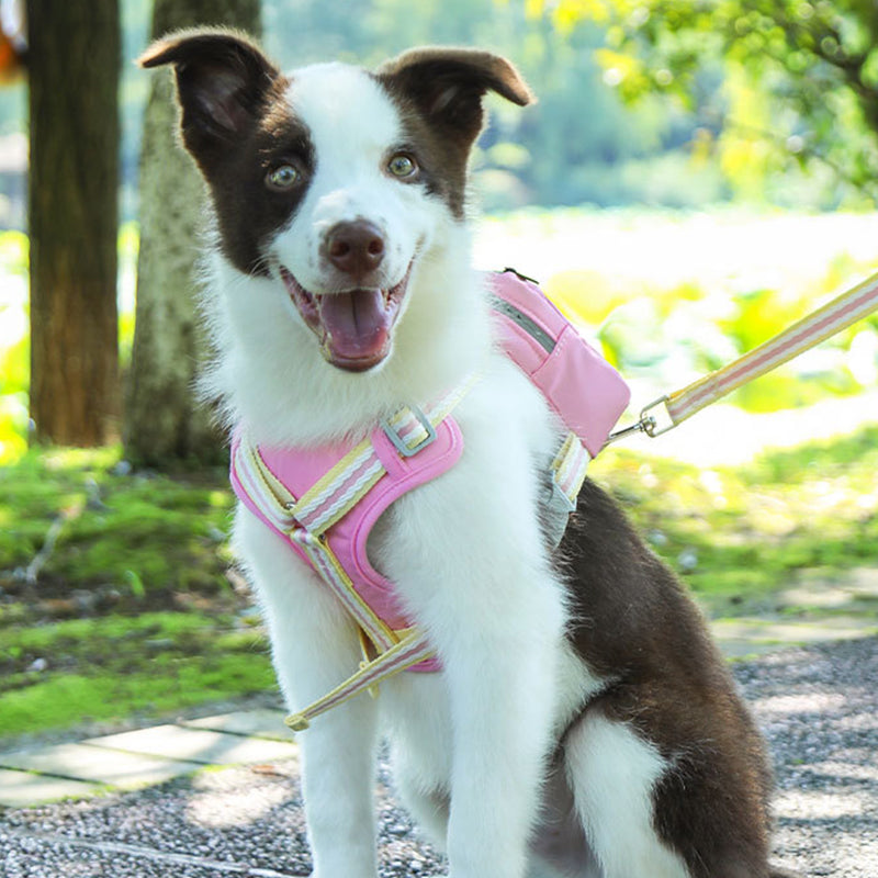 Pet Harness with Mini Backpack Leash Set