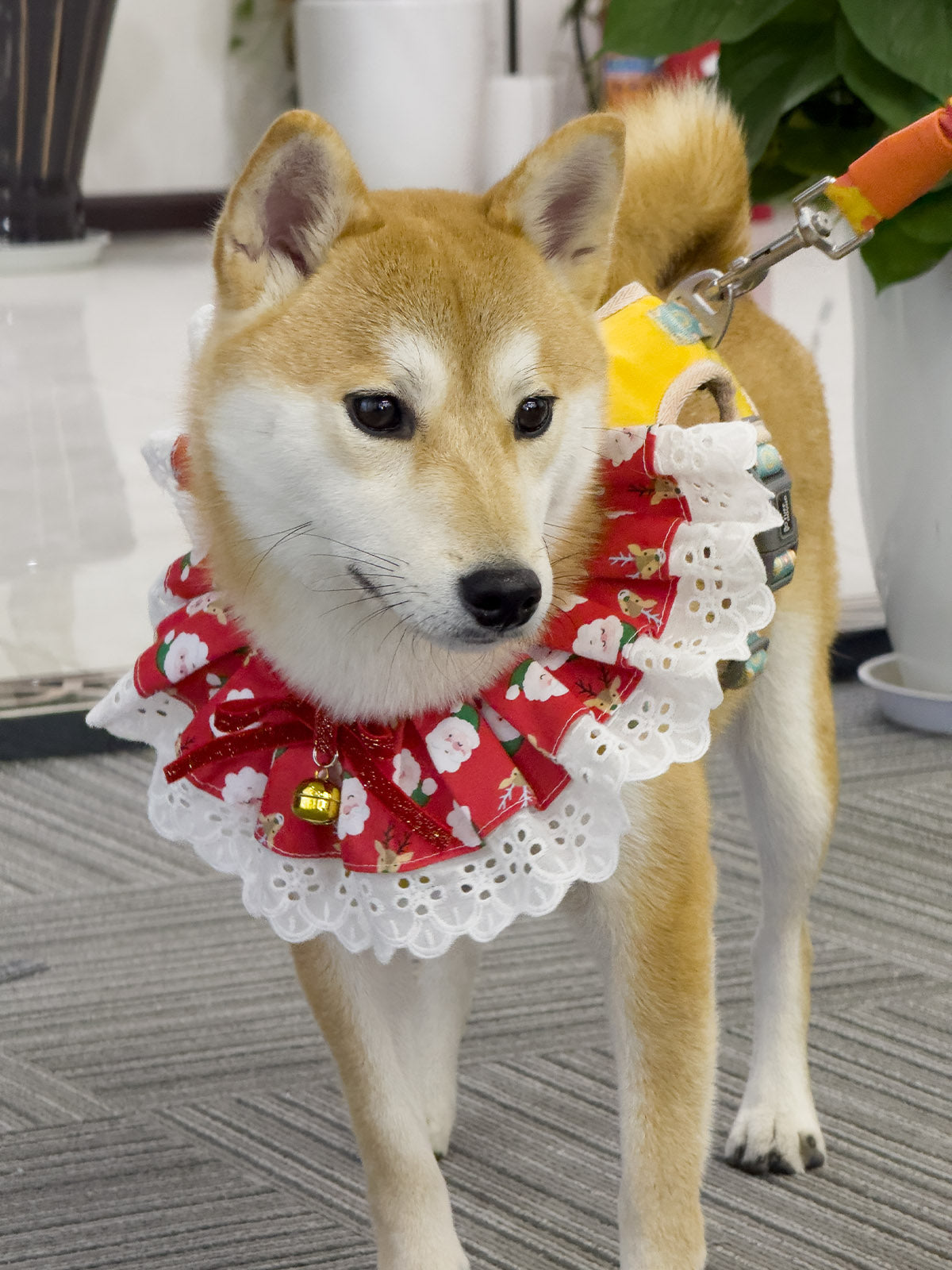Cat Dog Collar Bandana Bowknot Christmas Bell