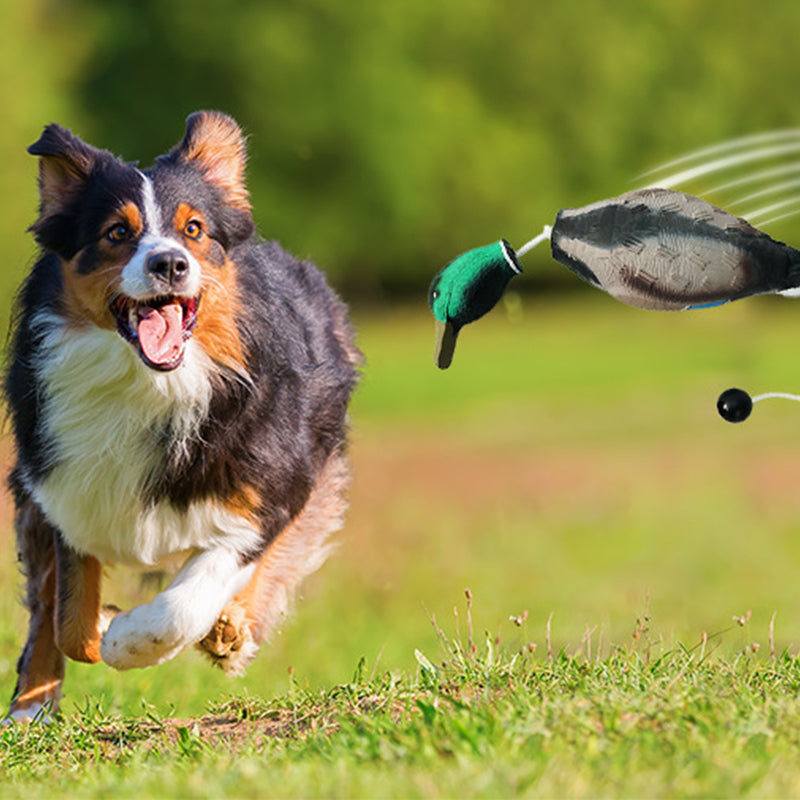 Duck-Shaped EVA Fetch Dog Toy