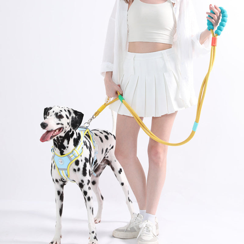 Anti-Pull Collar Multi-Way Leash NBR Handle