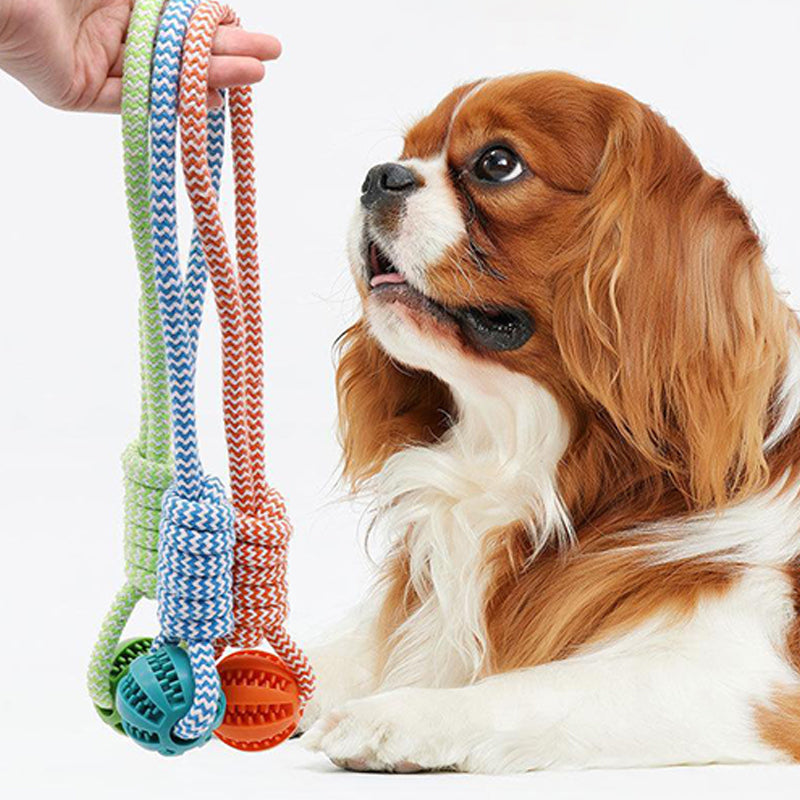 Woven Rope Food-Dispensing Pet Toy Ball
