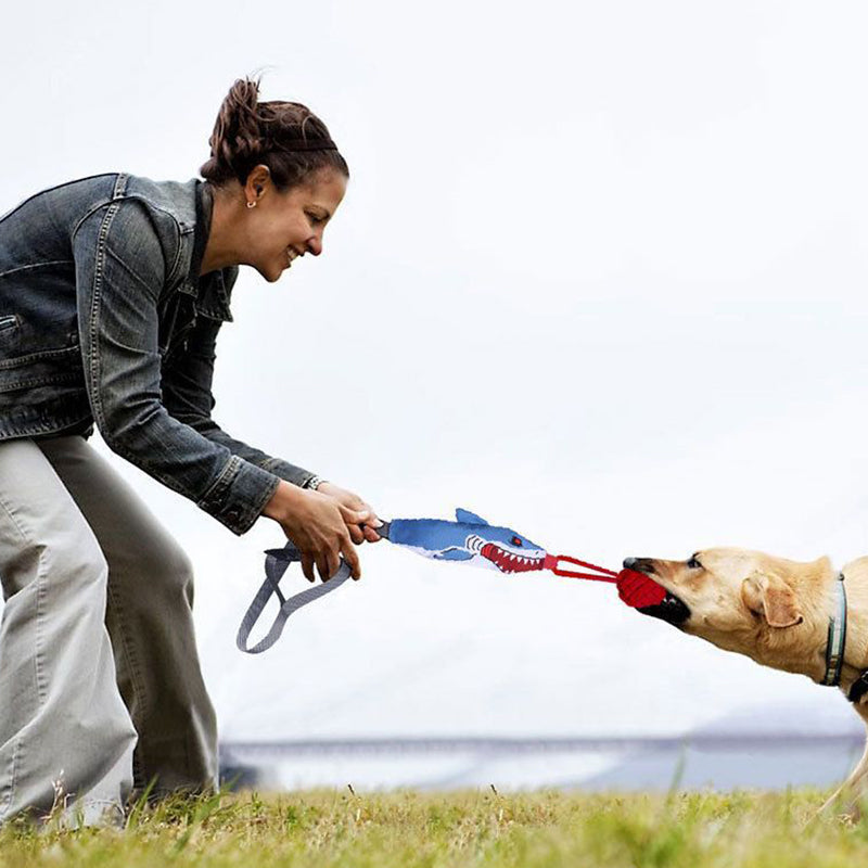 Interactive Tug-of-War Dog Toy