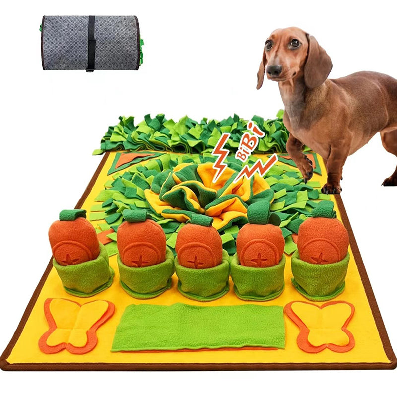 Interactive Scent Training Mat