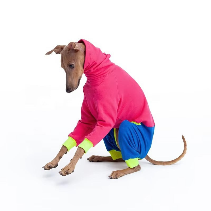 Pitaya Dog Sweater  - Color Block Four-Leg Winter Wear for Extra Warmth, Tailored for Sighthound