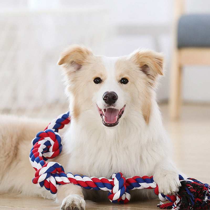 Large Rope Tug Dog Toy