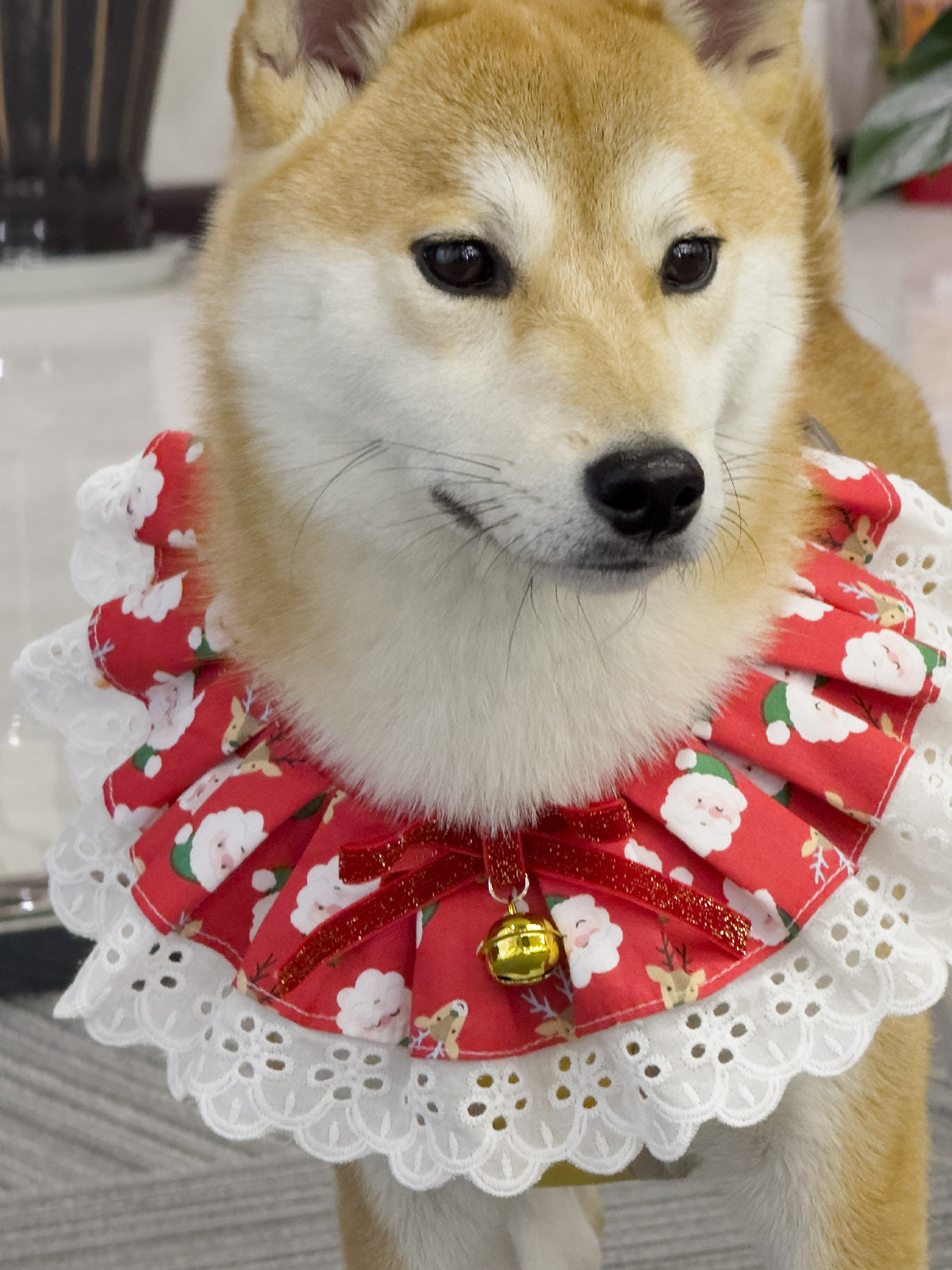 Cat Dog Collar Bandana Bowknot Christmas Bell