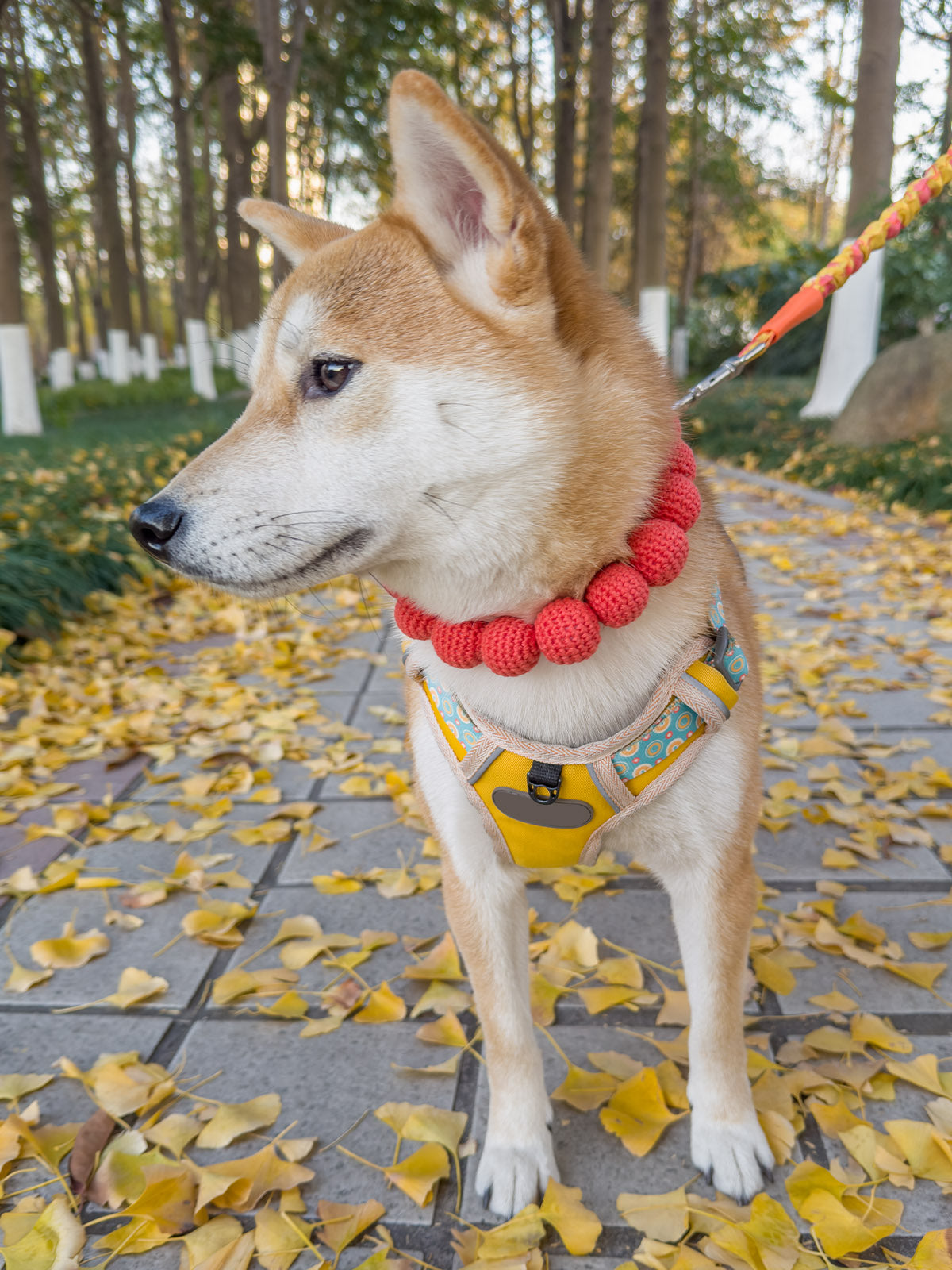 Collars Yarn Balls Pet Necklace Dog Cat Colorful