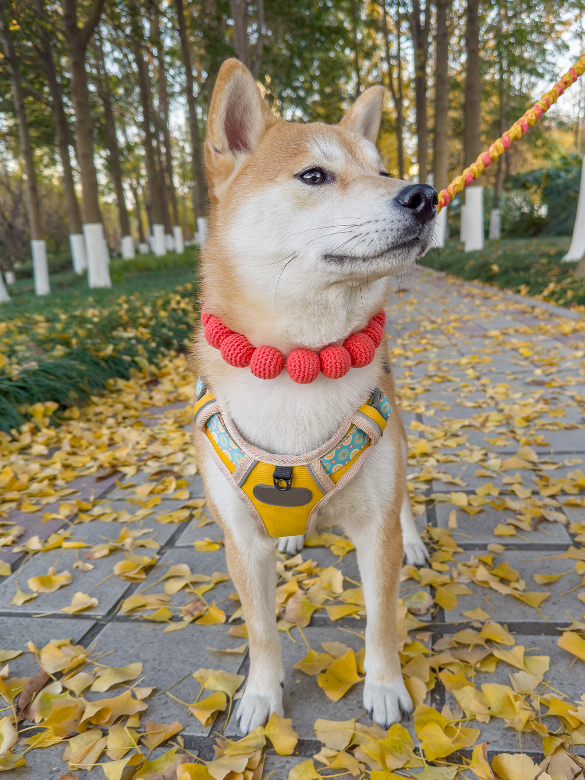 Collars Yarn Balls Pet Necklace Dog Cat Colorful