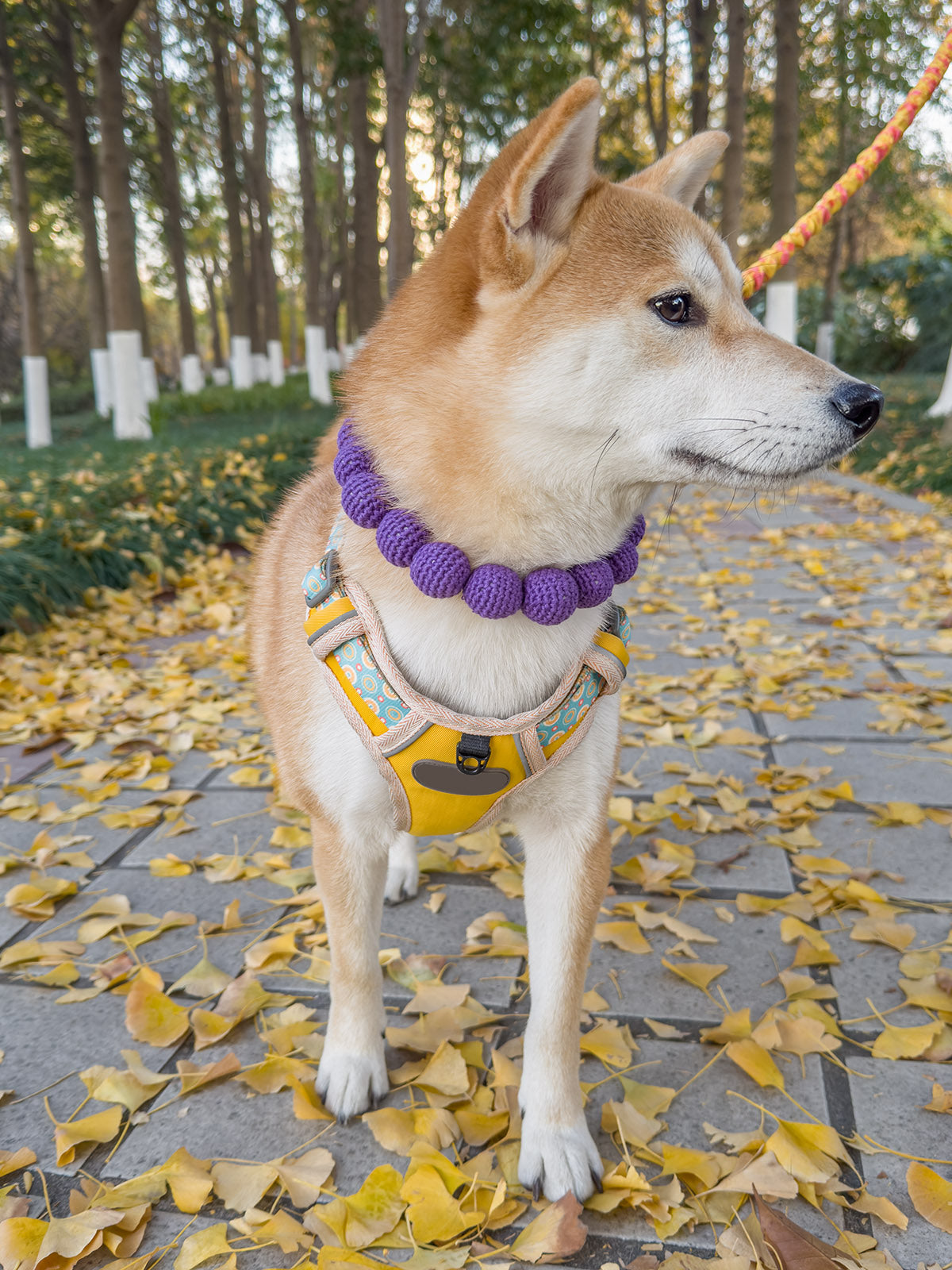 Collars Yarn Balls Pet Necklace Dog Cat Colorful