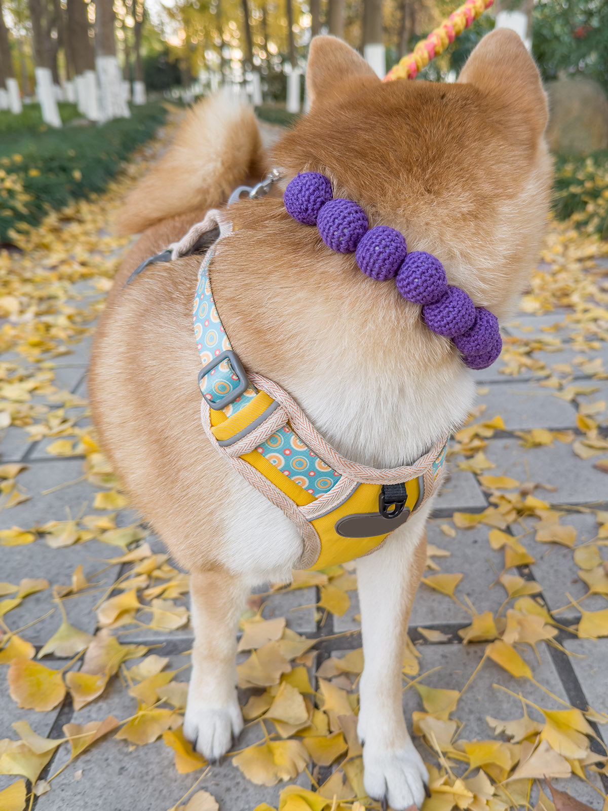 Collars Yarn Balls Pet Necklace Dog Cat Colorful