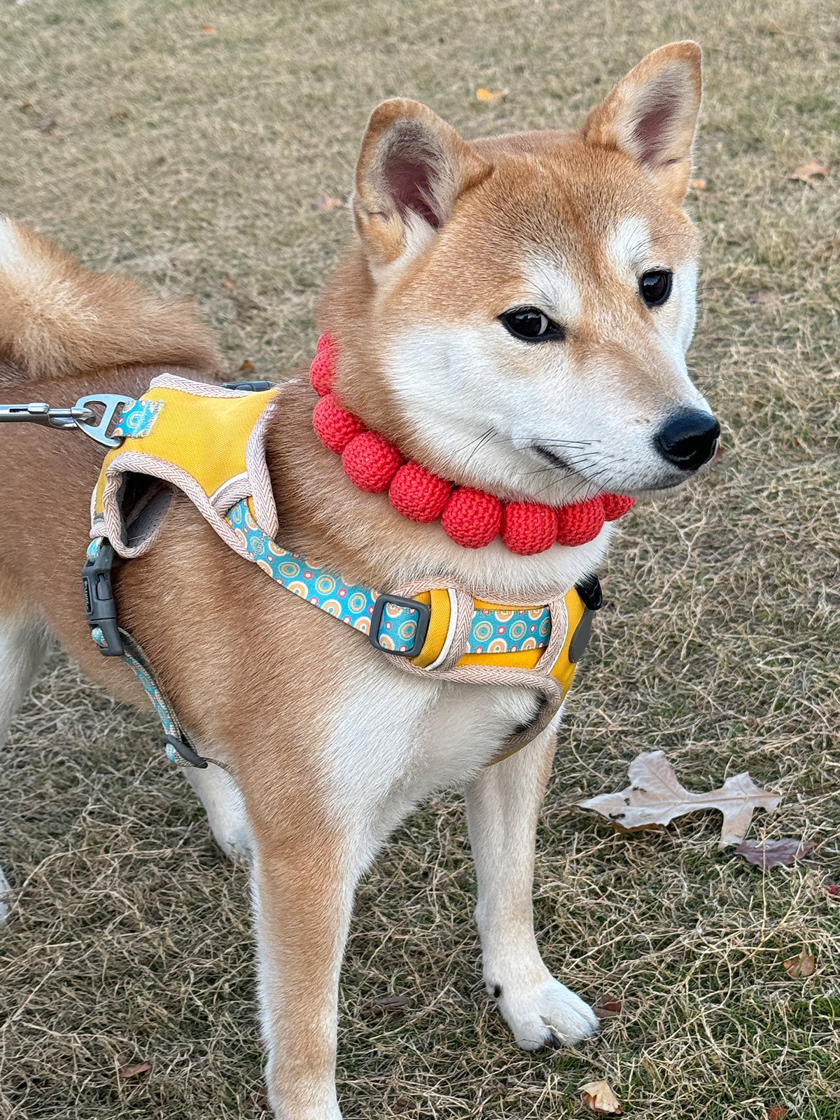 Collars Yarn Balls Pet Necklace Dog Cat Colorful