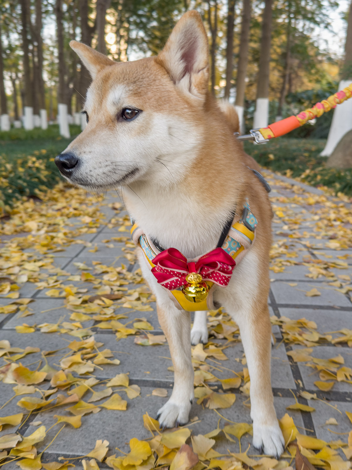 Cat Dog Collar Bandana Bowknot Bell Cute