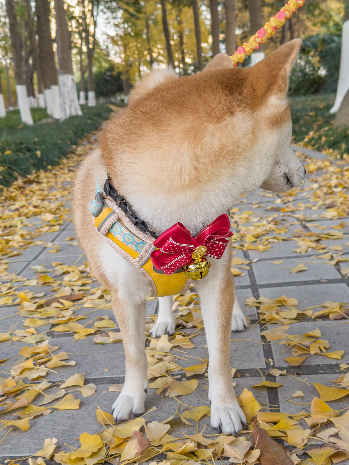 Cat Dog Collar Bandana Bowknot Bell Cute