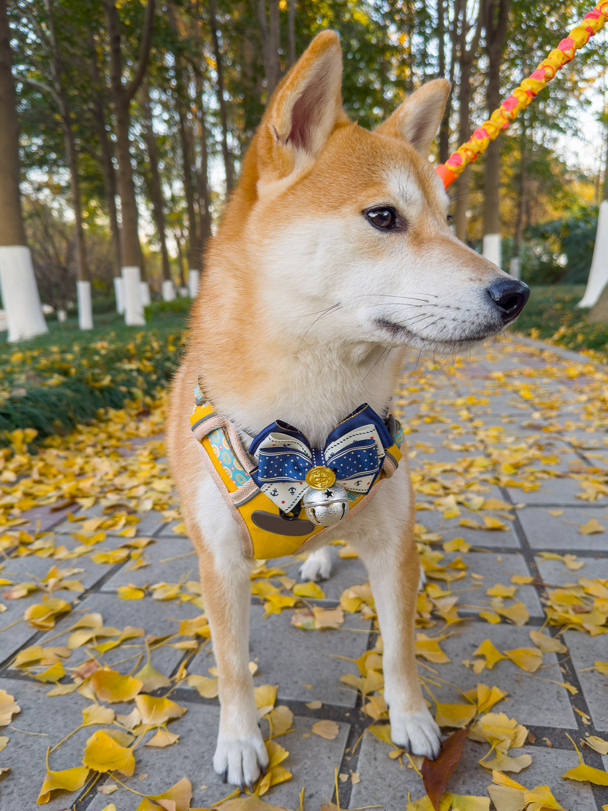 Cat Dog Collar Bandana Bowknot Bell Cute