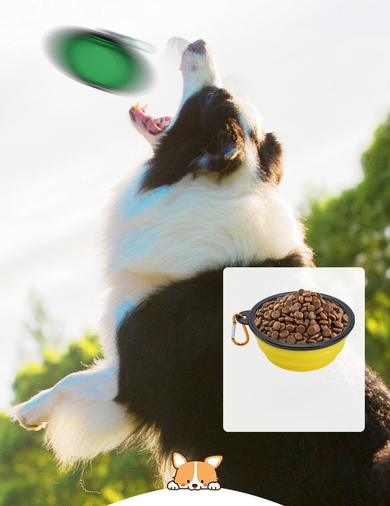 Portable Pet Bowl - Collapsible Silicone