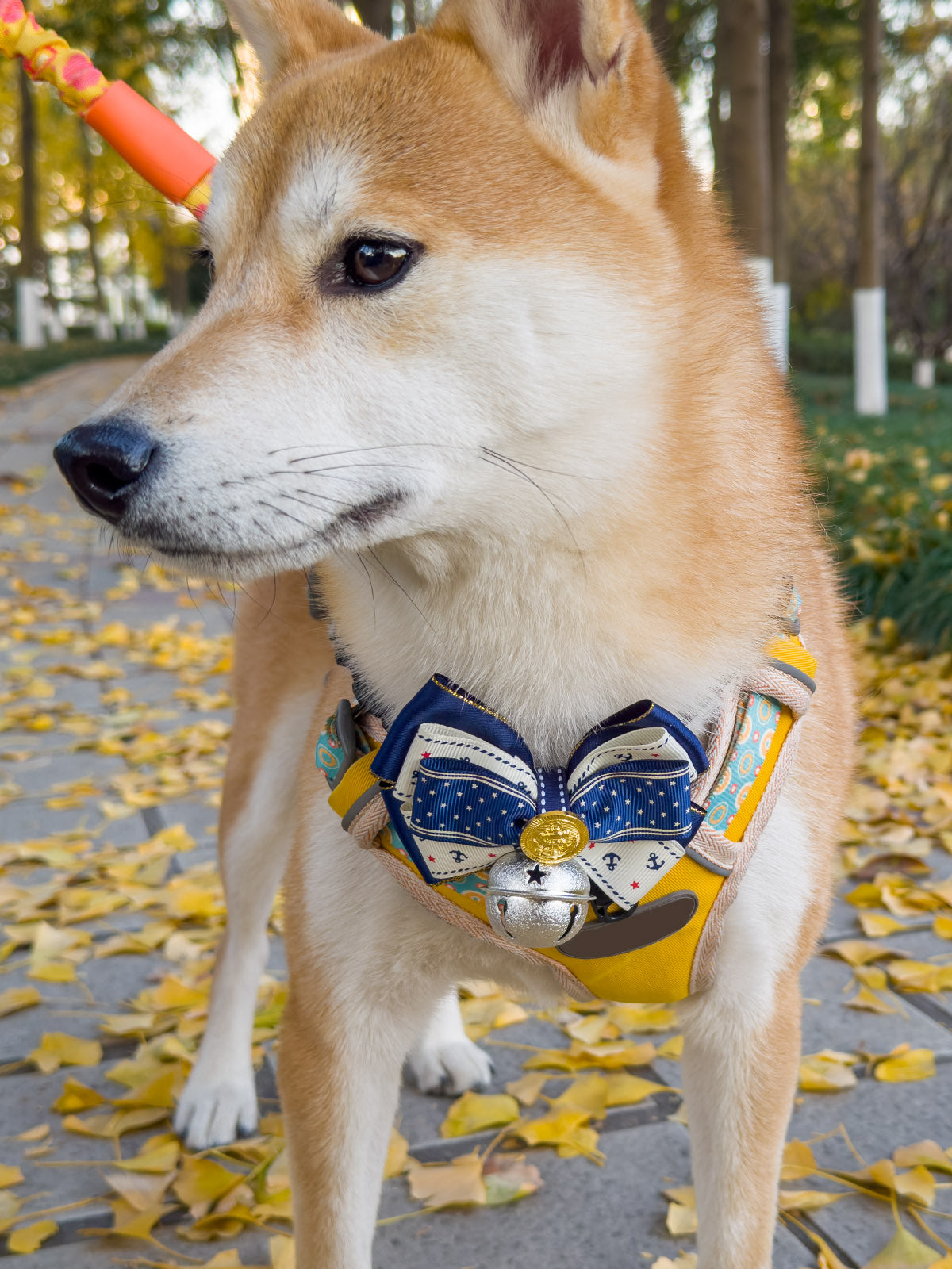 Cat Dog Collar Bandana Bowknot Bell Cute