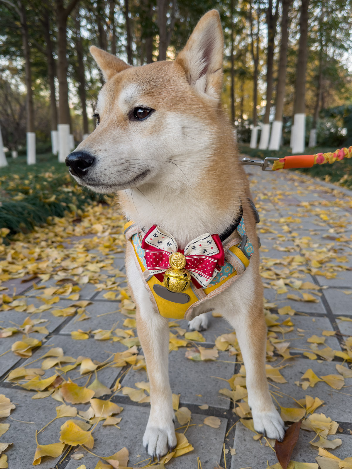 Cat Dog Collar Bandana Bowknot Bell Cute