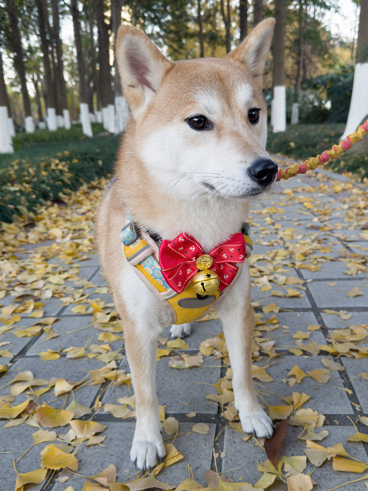 Cat Dog Collar Bandana Bowknot Bell Cute