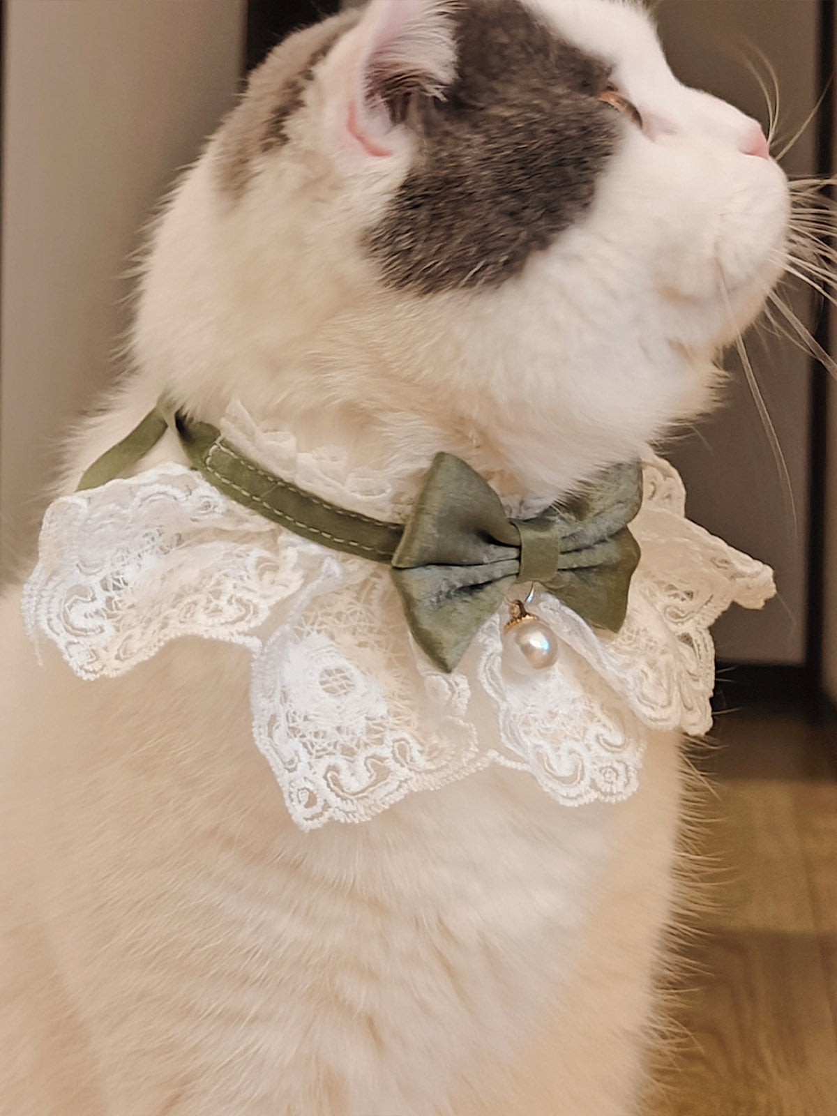 Cat Dog Collar Bandana Houndstooth Bowknot Bell