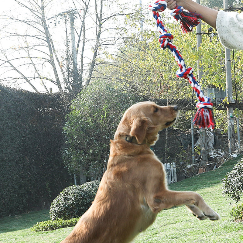 Large Rope Tug Dog Toy