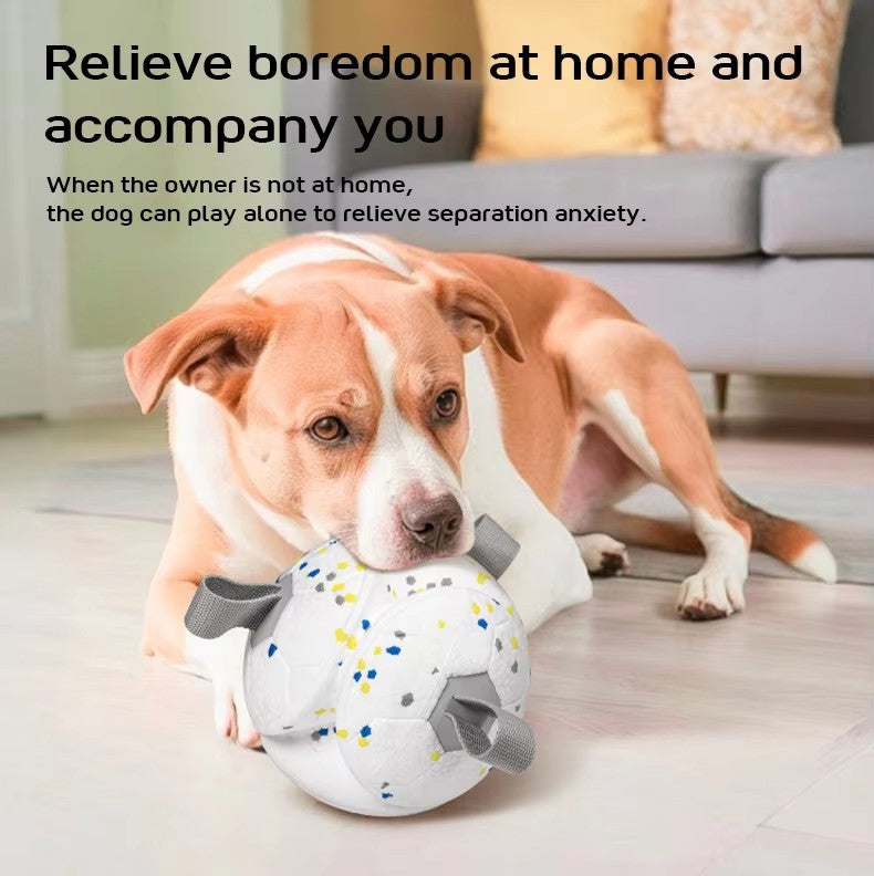 ETPU Dog Ball Toy — Eco-Friendly, Durable, Floatable & Chew-Resistant Interactive Play Ball