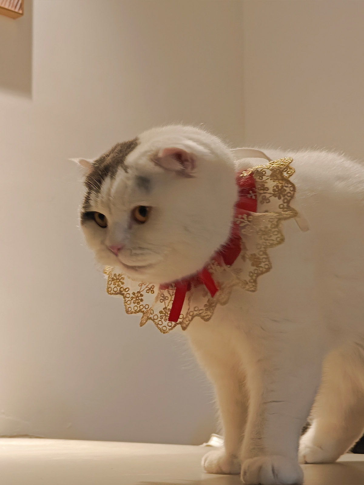 Cat Dog Collar Two Color Bowknot Flower Lace-up Sheer