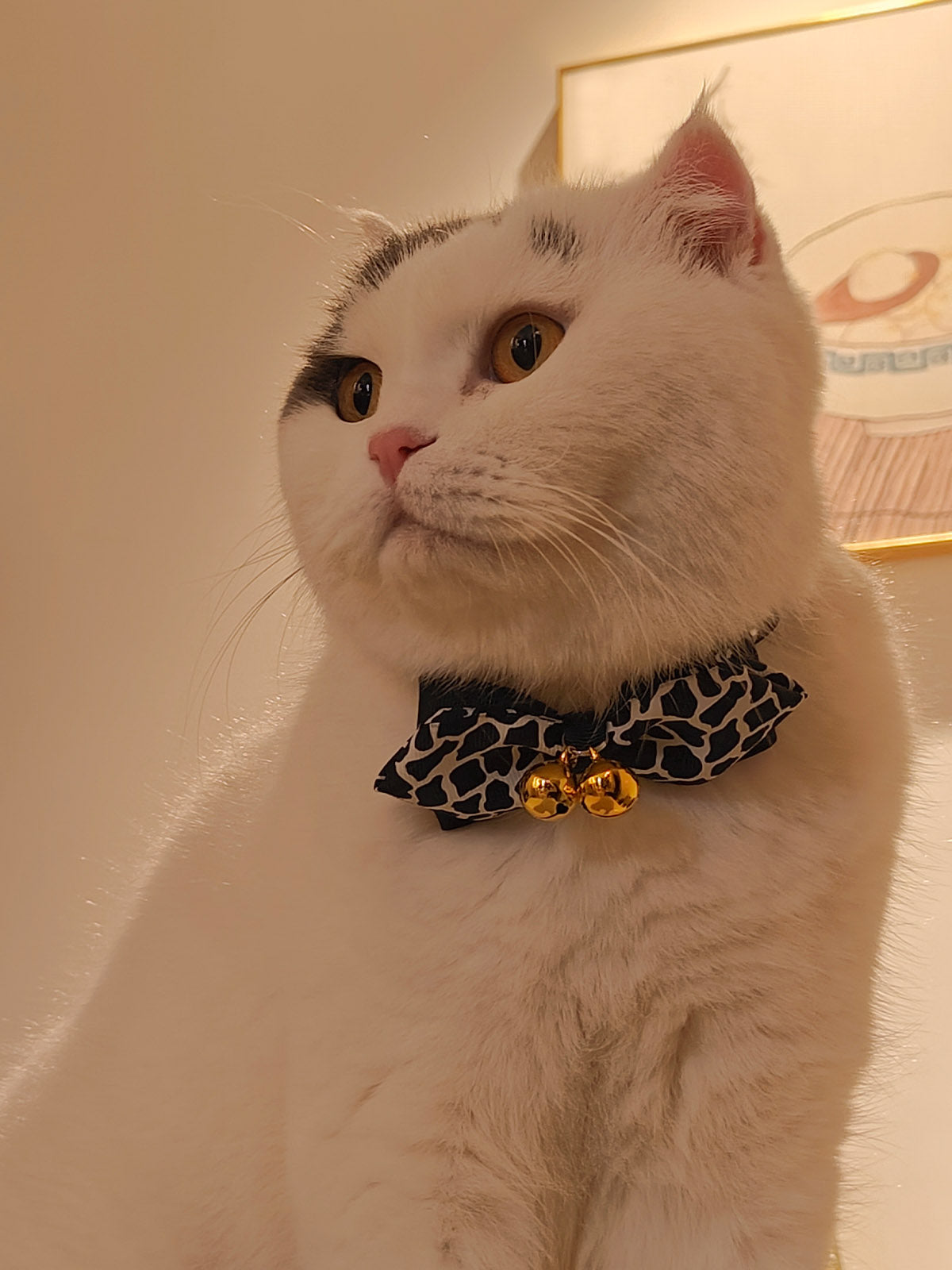 Cat Dog Collar Bandana Bowknot Bell