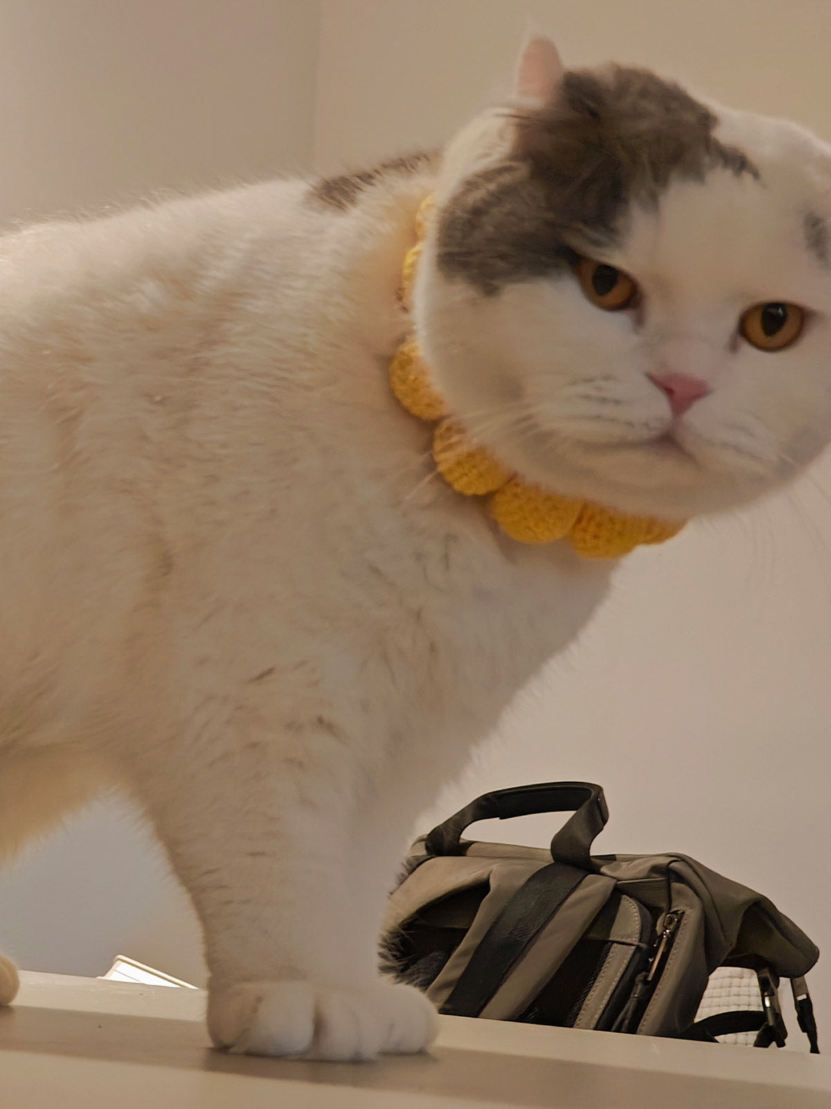 Collars Yarn Balls Pet Necklace Dog Cat Colorful