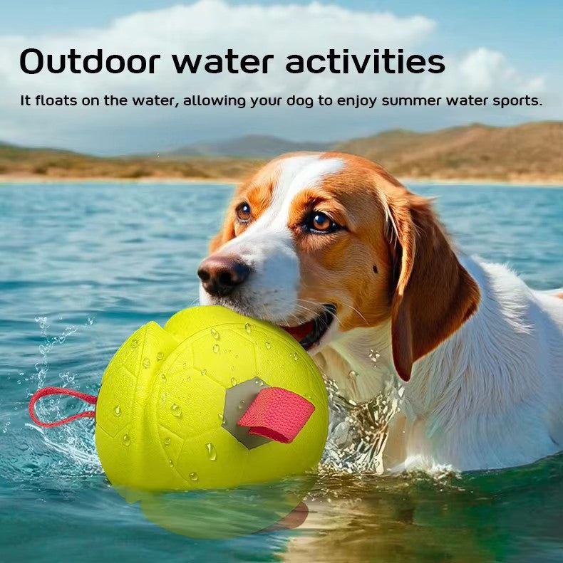 ETPU Dog Ball Toy — Eco-Friendly, Durable, Floatable & Chew-Resistant Interactive Play Ball