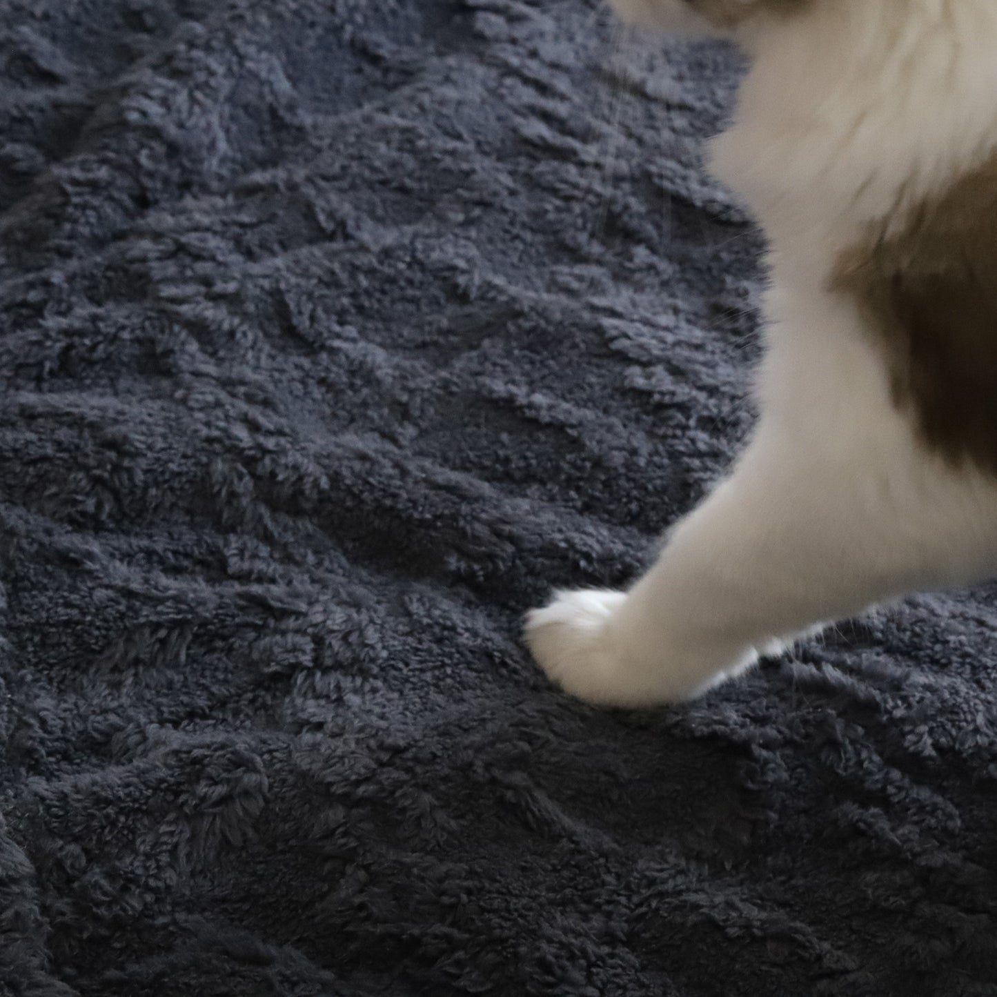 Soft Double Sided Fleece Pet Blanket Premium Fleece 27.5"x39"