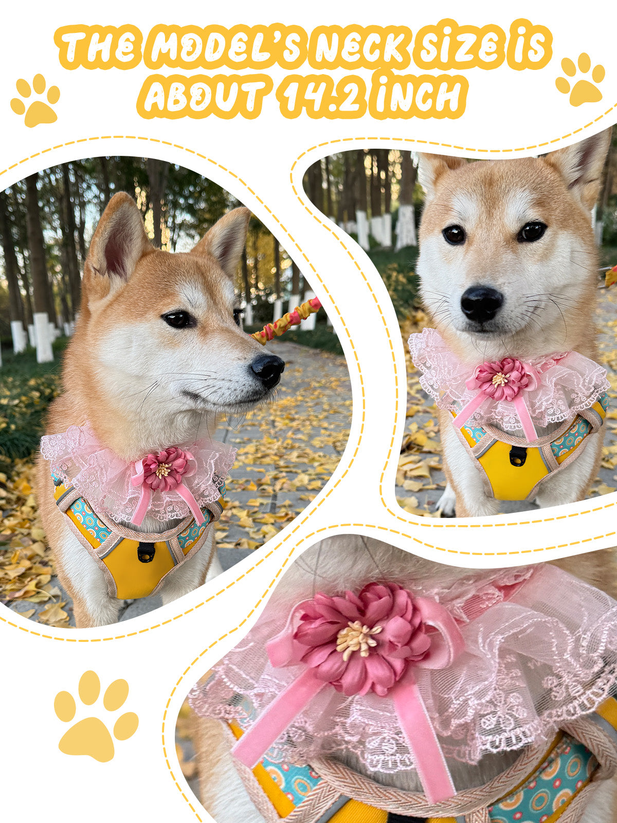 Cat Dog Collar Bowknot Lace-up Flower