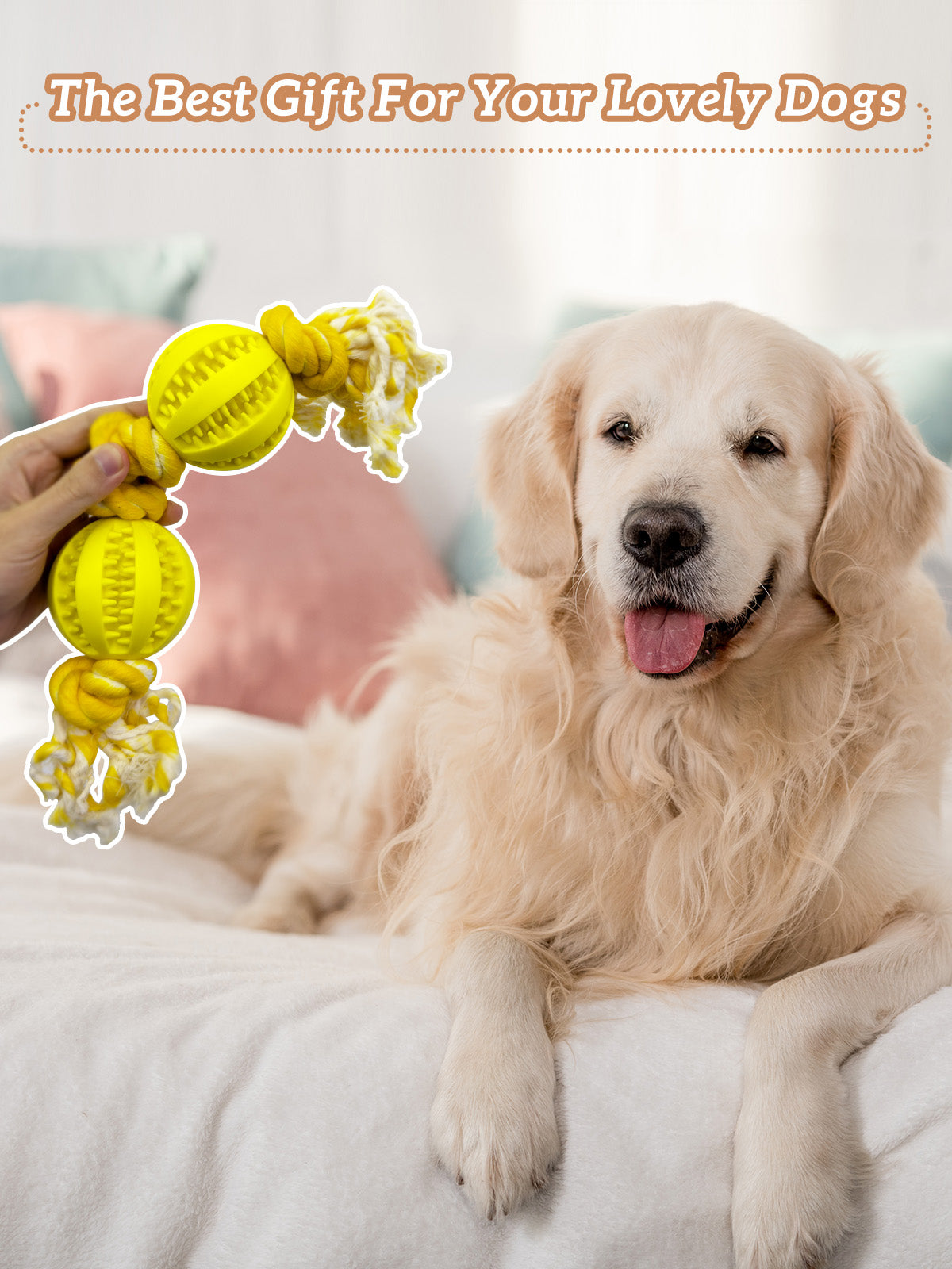 Pet Toys Two Balls Four Knots Dog Chew Rubber Rope