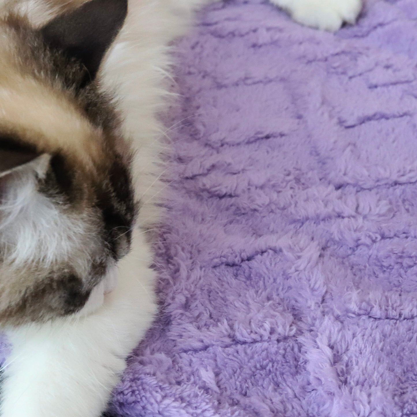 Soft Double Sided Fleece Pet Blanket Premium Fleece 27.5"x39"