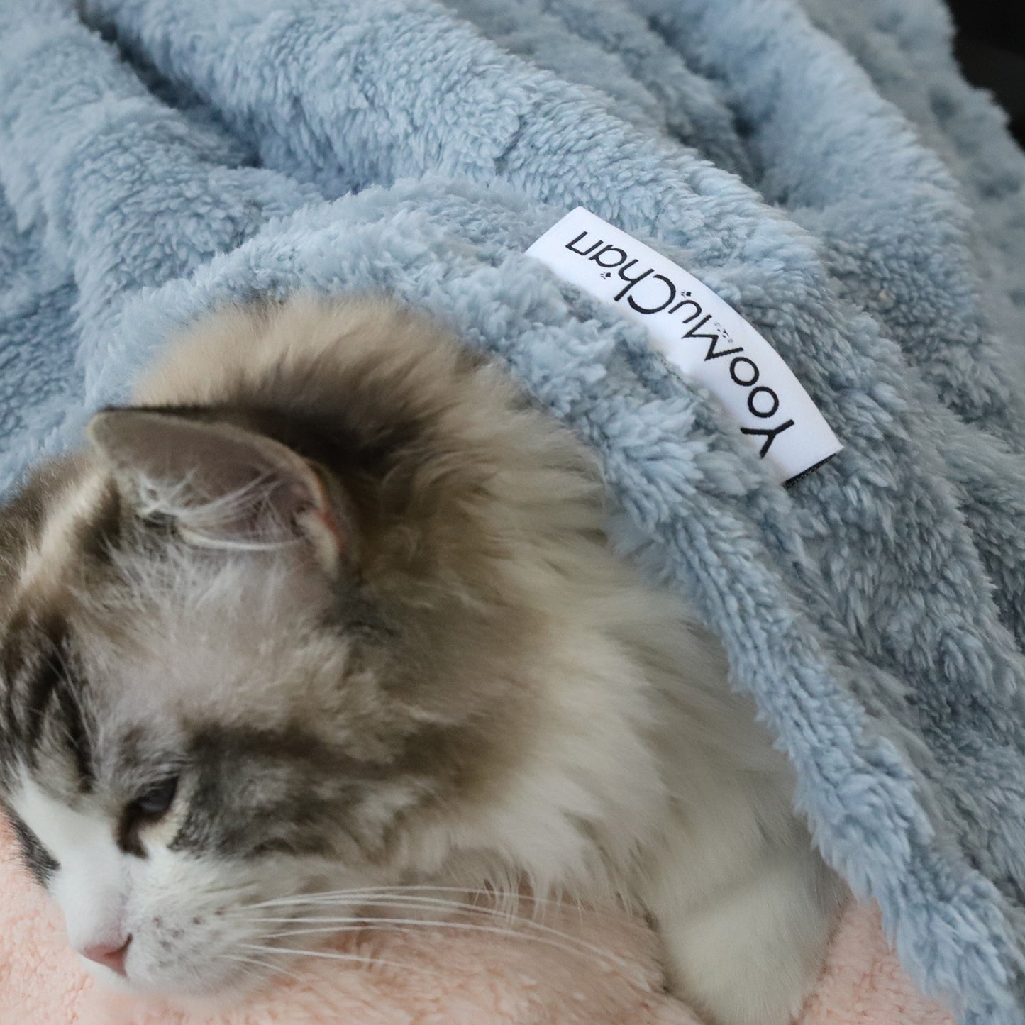 Soft Double Sided Fleece Pet Blanket Premium Fleece 27.5"x39"