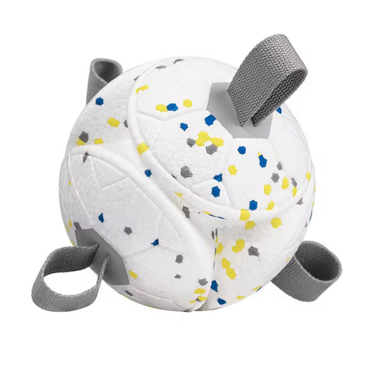 ETPU Dog Ball Toy — Eco-Friendly, Durable, Floatable & Chew-Resistant Interactive Play Ball