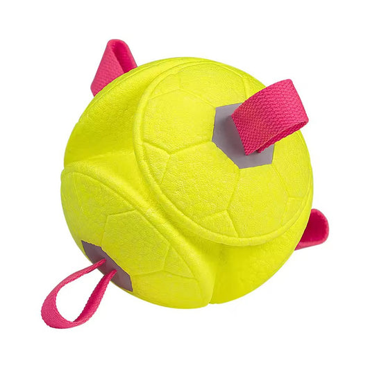 ETPU Dog Ball Toy — Eco-Friendly, Durable, Floatable & Chew-Resistant Interactive Play Ball