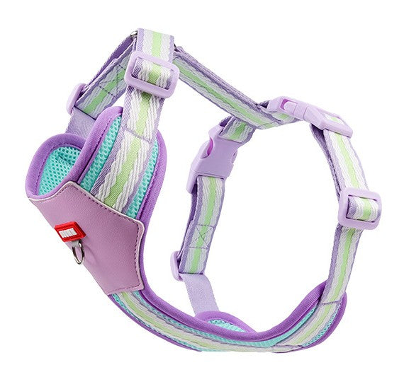 Dog Harness and Leash Set - Reflective, Colorful “Dopamine” Colors for Small Dogs