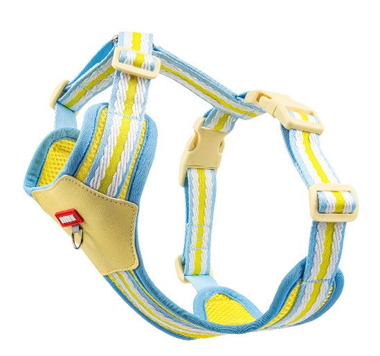 Dog Harness and Leash Set - Reflective, Colorful “Dopamine” Colors for Small Dogs