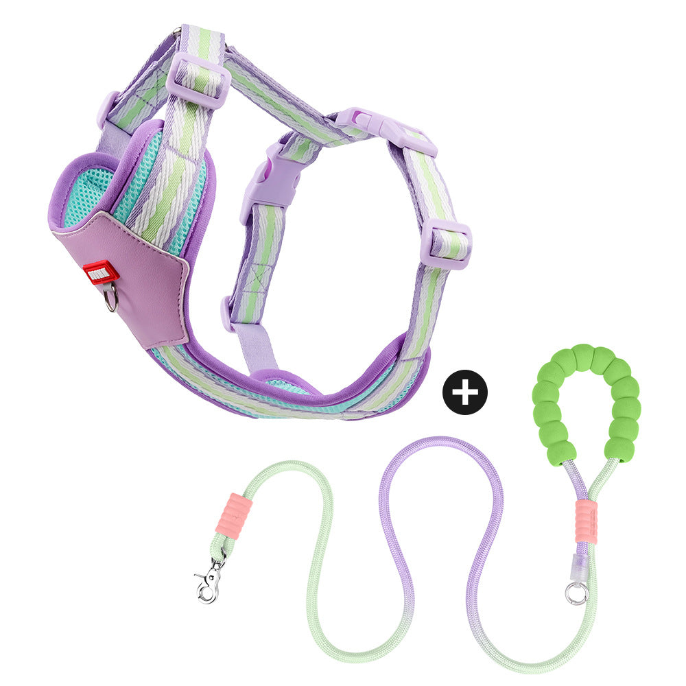 Dog Harness and Leash Set - Reflective, Colorful “Dopamine” Colors for Small Dogs