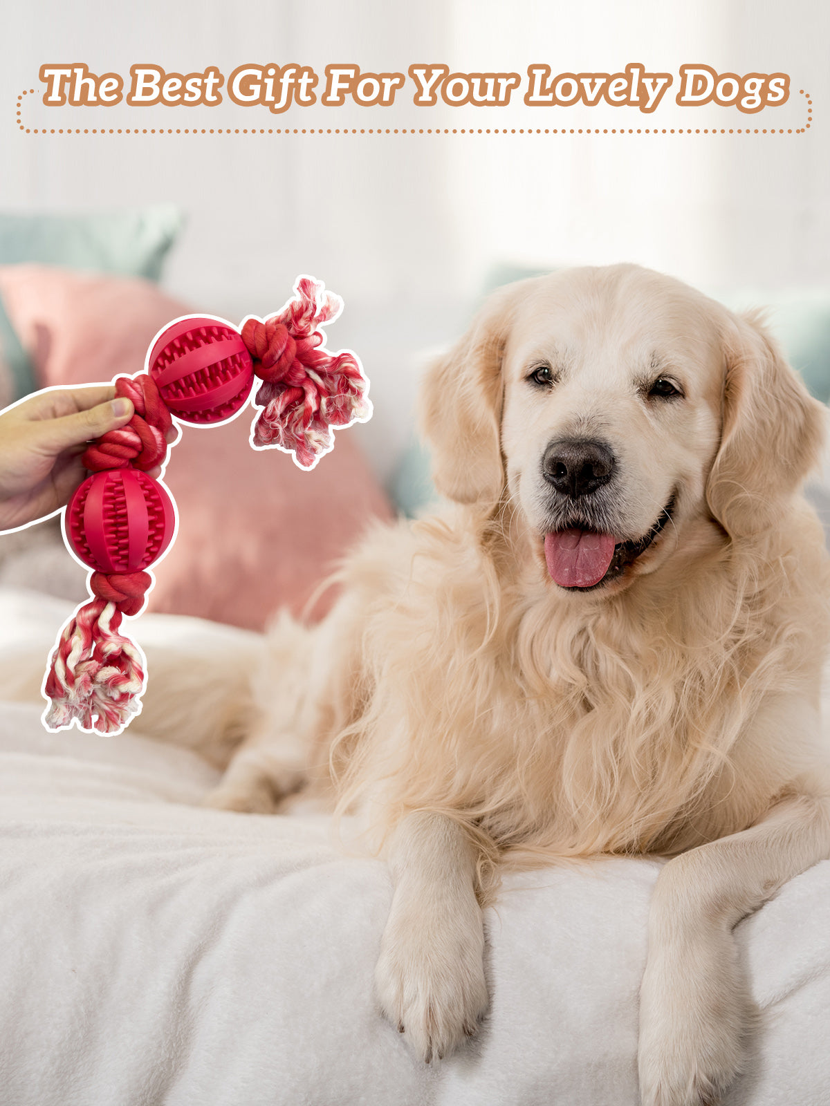 Pet Toys Two Balls Four Knots Dog Chew Rubber Rope